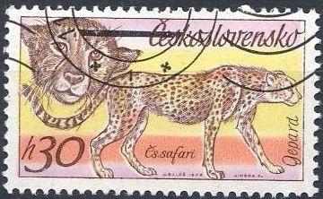 Checoslovaquia 1976 Yvert 2086 Sello * Fauna Leopardo Safari 30h Matasello de favor Preobliterado Ceskolovensko Czechoslovakia Tchecoslovaquie
